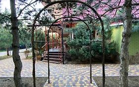 Villa Sosnovy Bor